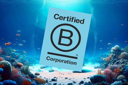 B Corp