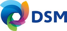 DSM logo