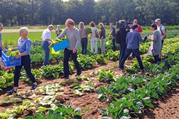 Herenboeren Submission.jpg