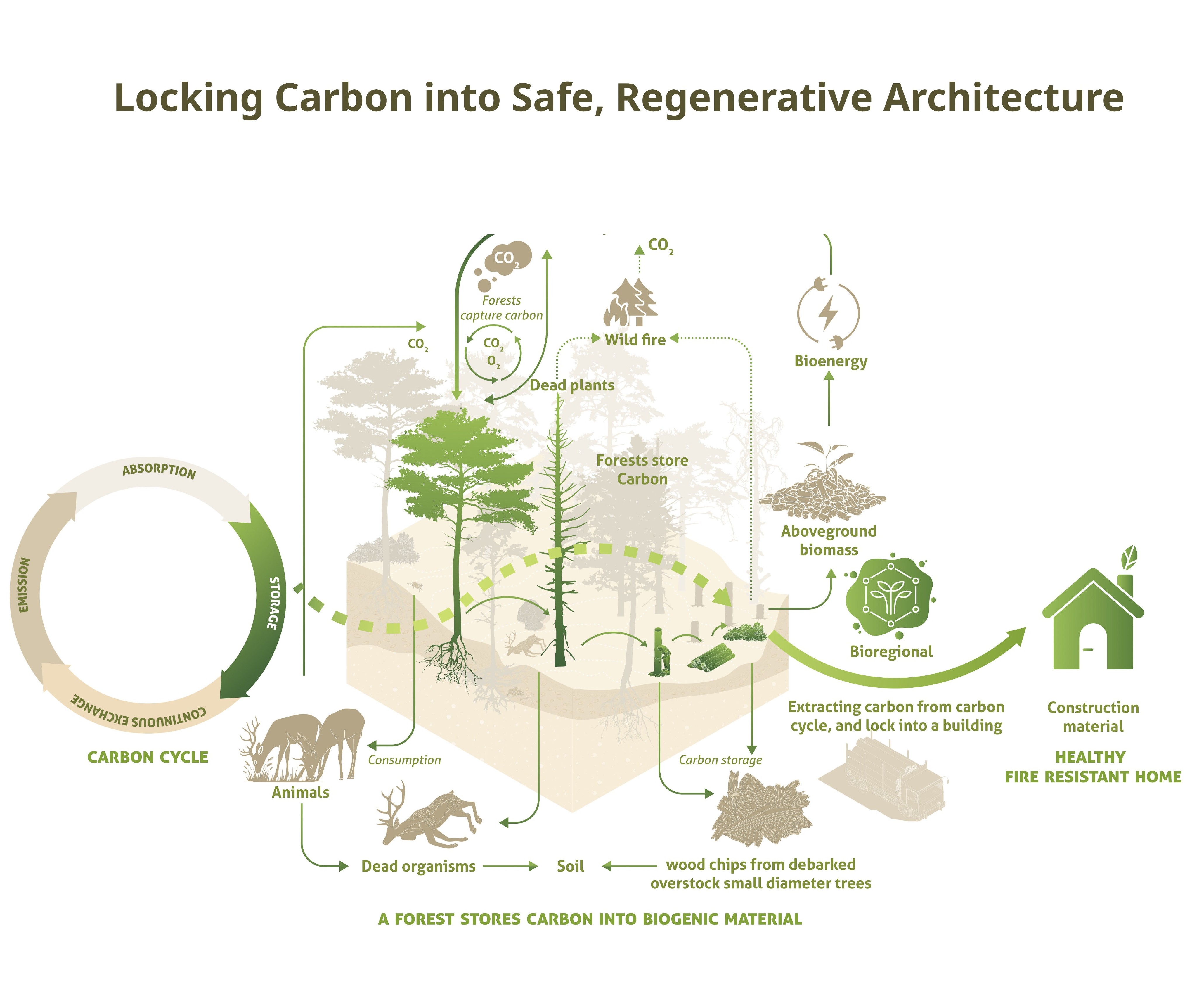 Lehmbau brochure_v3.1 (6)
