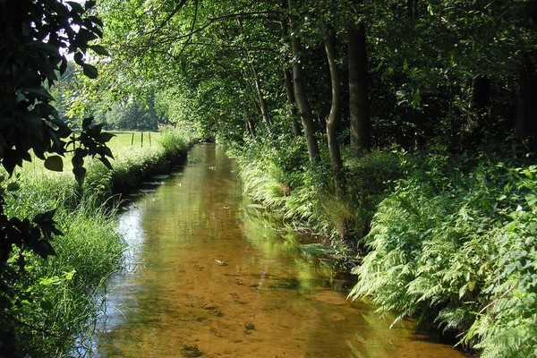 Leuvenumse_beek.jpg