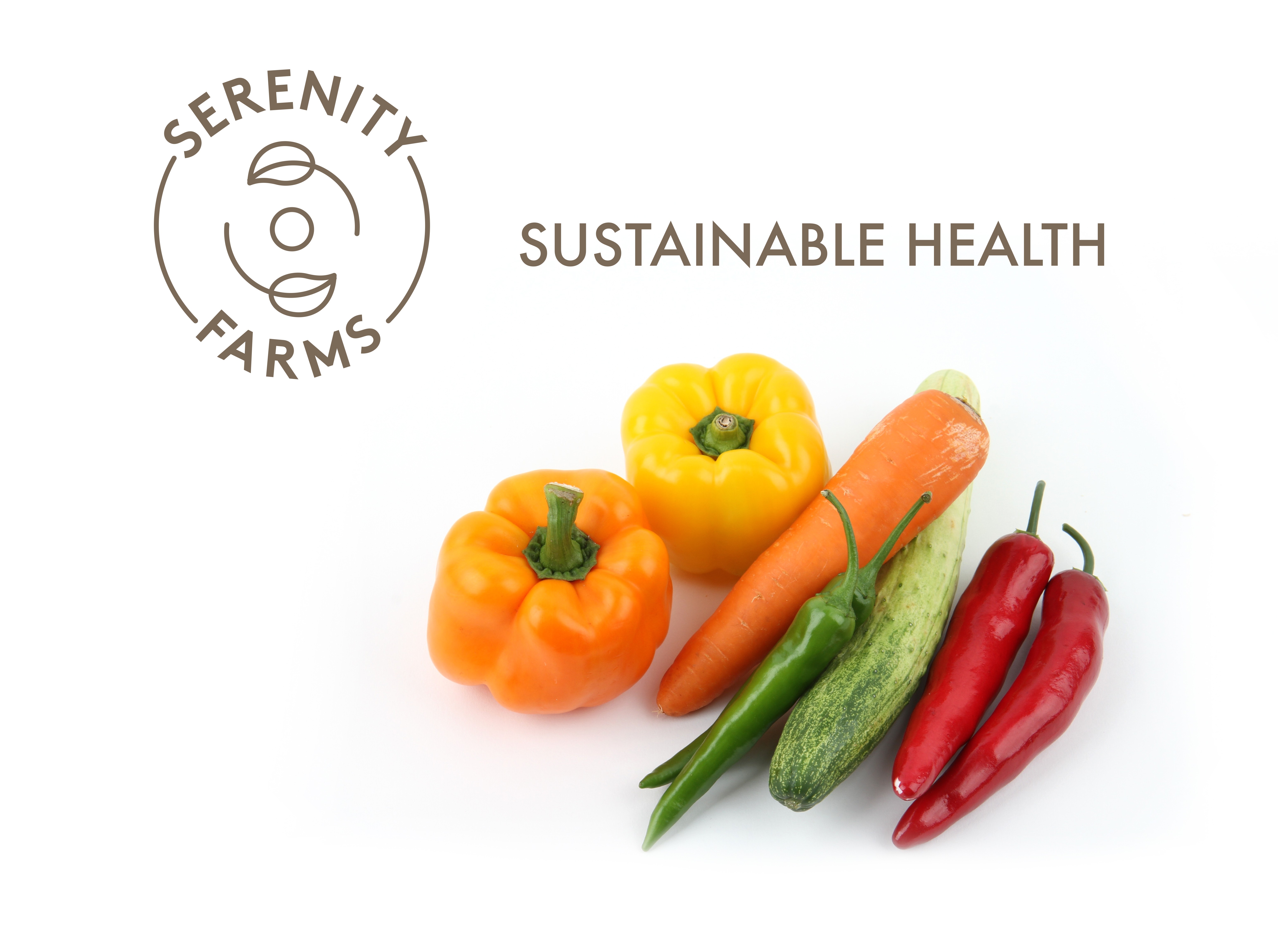 SF-LogoBRASHuse_web (1).jpg