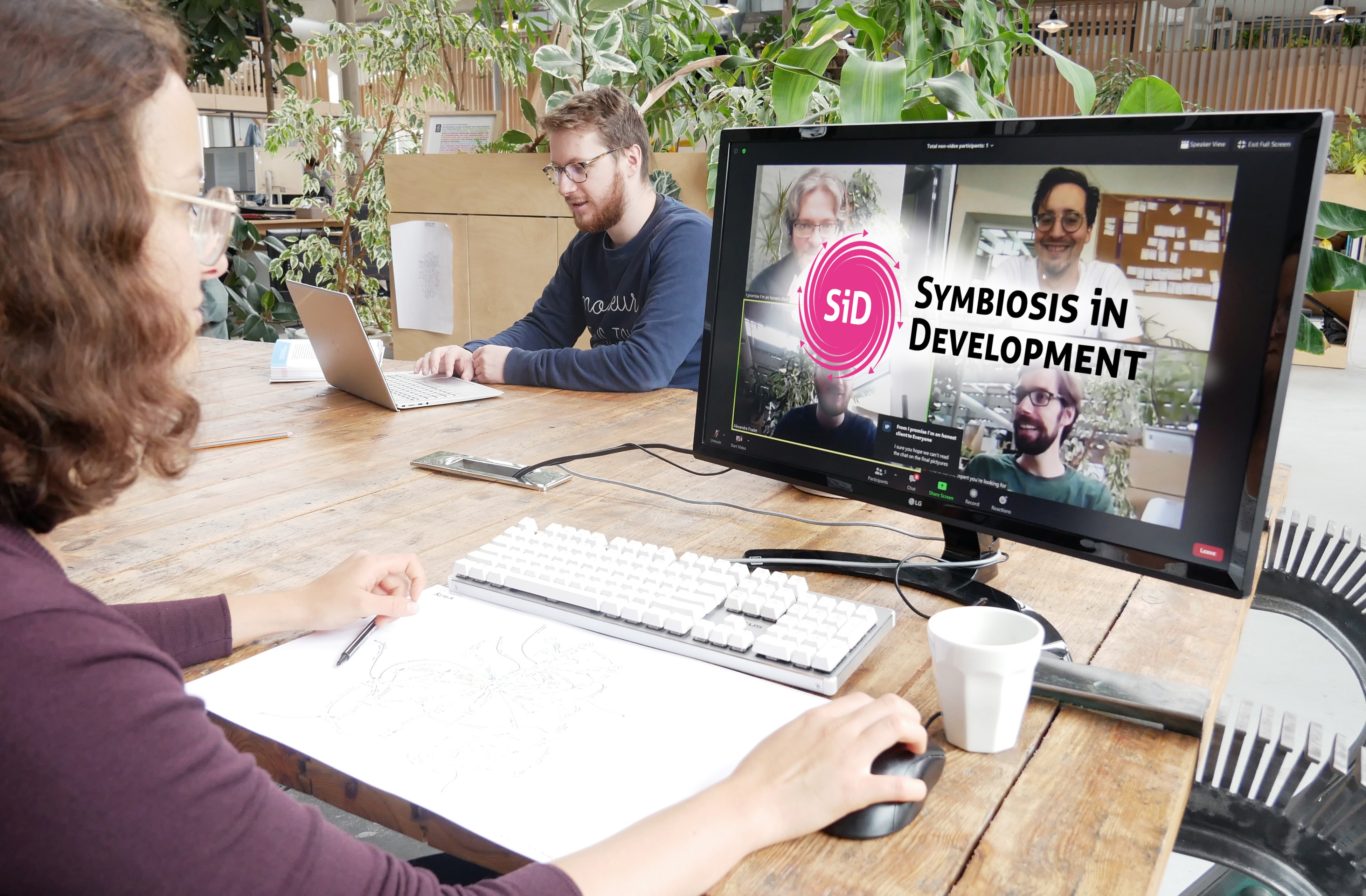 SiD online workshop.jpg