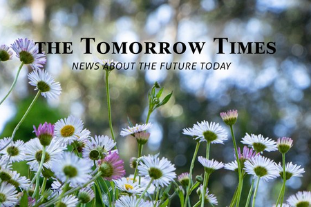 TomorrowTimes_July2020_Main_asset_wideimage.png