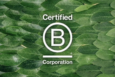 Website_Bcorp.jpg