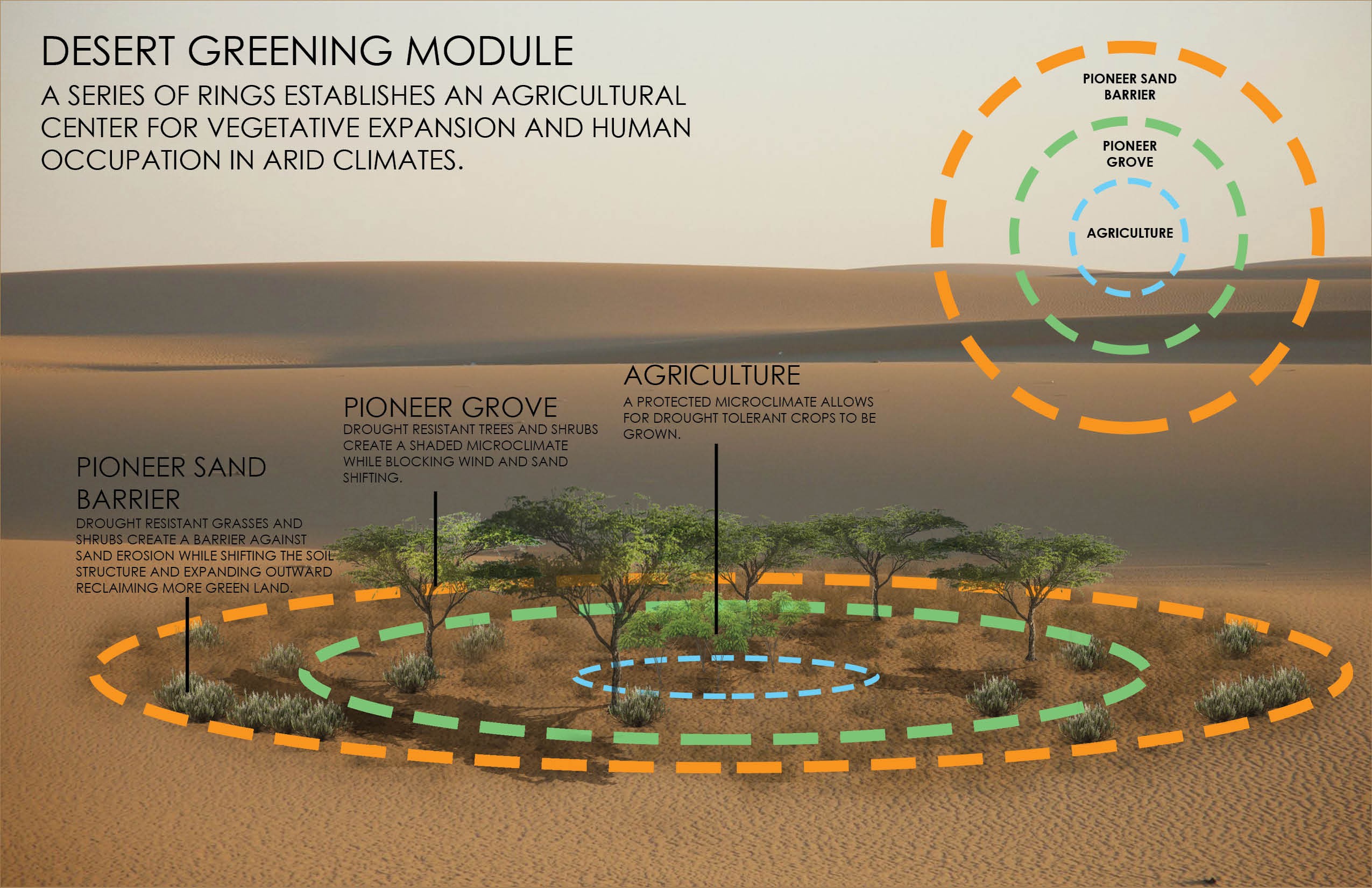desert greening 2.jpg