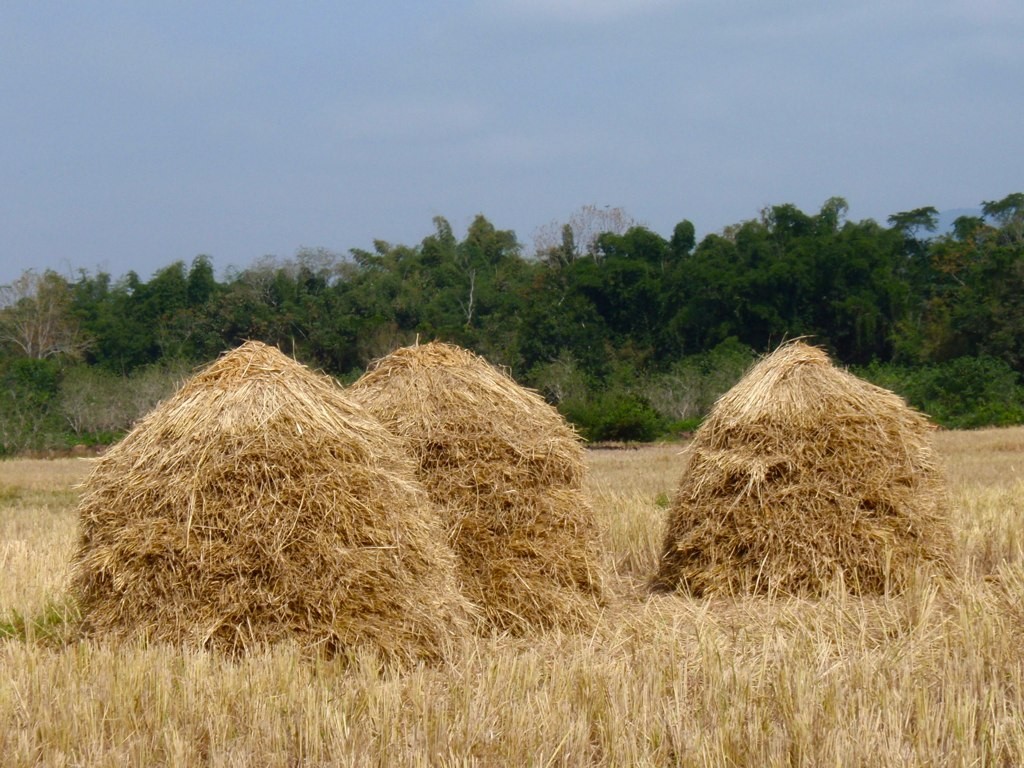 haystacks_-_john_pavelka.jpg
