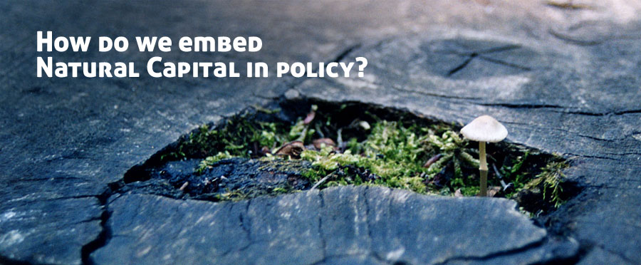 Embedding Natural Capital in Policy